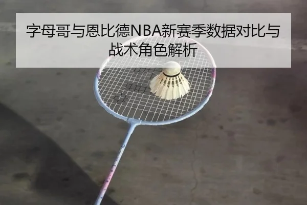 字母哥与恩比德NBA新赛季数据对比与战术角色解析